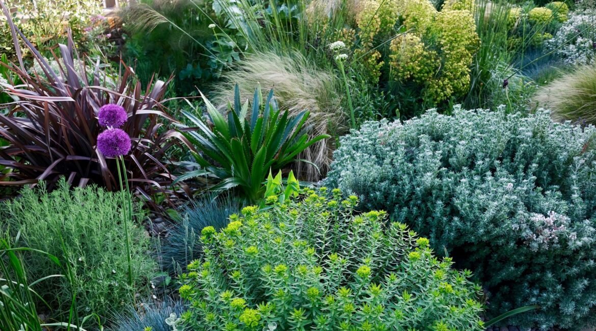 Seaside Gardens: How to Create a Green Space with Coastal Soul 1 Seaside Gardens How to Create a Green Space with Coastal Soul