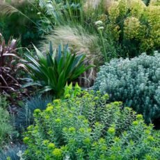 Seaside Gardens: How to Create a Green Space with Coastal Soul