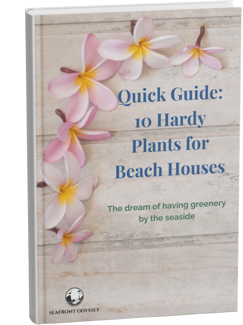Quick Guide 10 Hardy Plants for Beach Houses 1 Quick-Guide-10-Hardy-Plants-for-Beach-Houses-1-u
